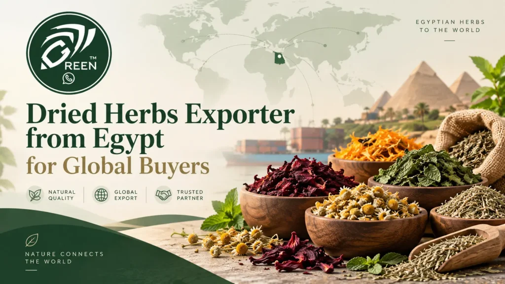 Dried Herbs Exporter from Egypt for Global Buyers