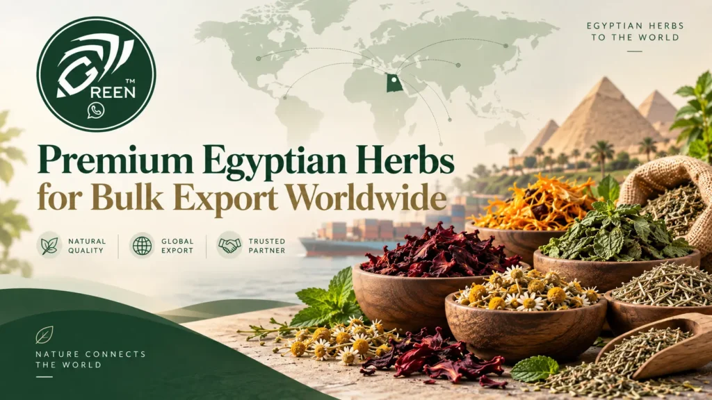 Premium Egyptian Herbs for Bulk Export Worldwide