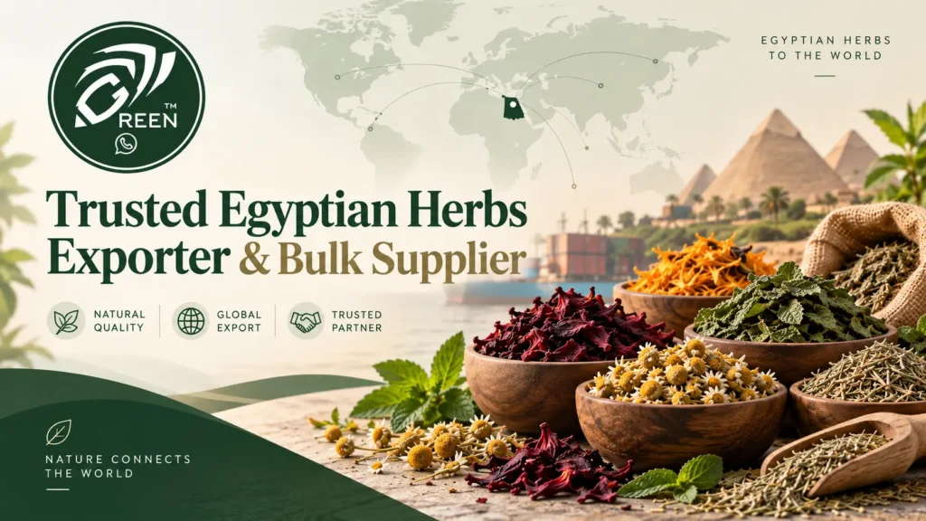 Trusted Egyptian Herbs Exporter Bulk Supplier