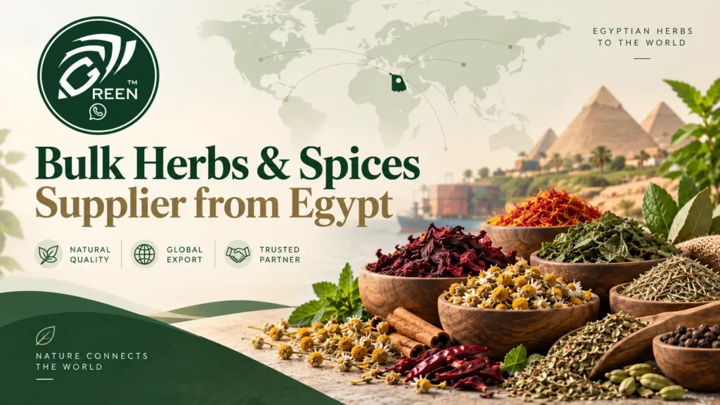 Bulk Herbs Spices Supplier from Egypt