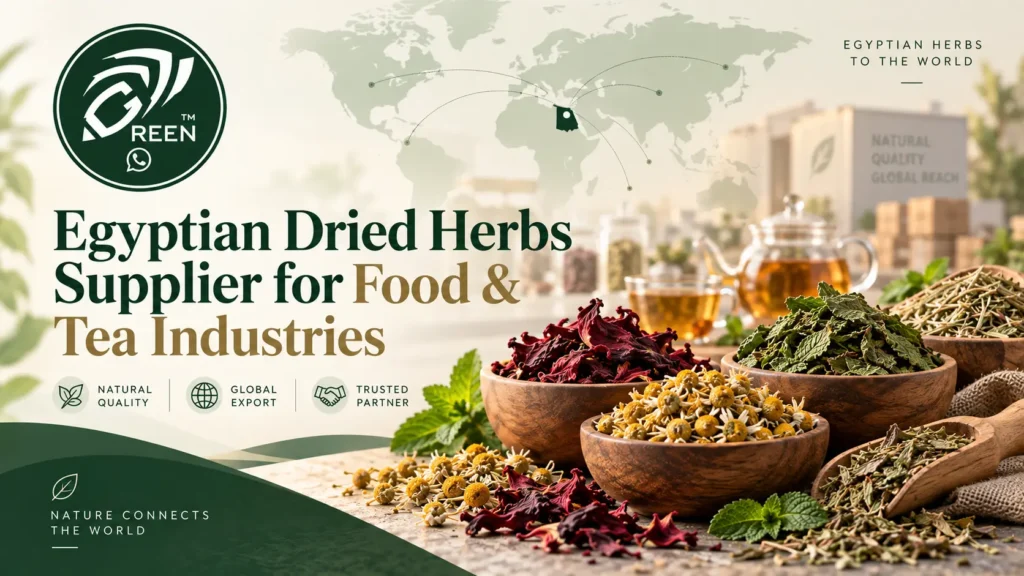 Egyptian Dried Herbs Supplier for Food Tea Industries