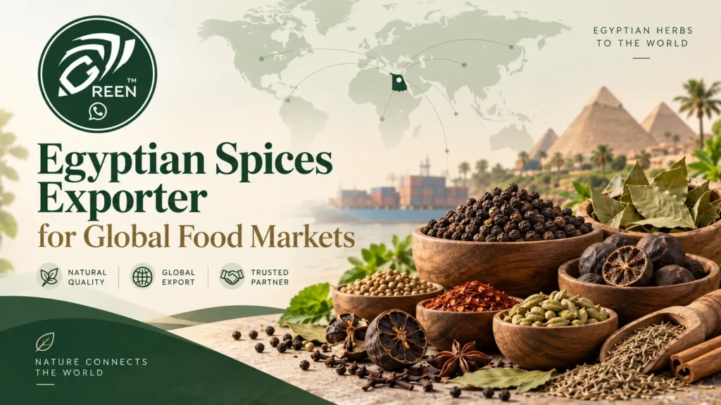 Egyptian Spices Exporter for Global Food Markets