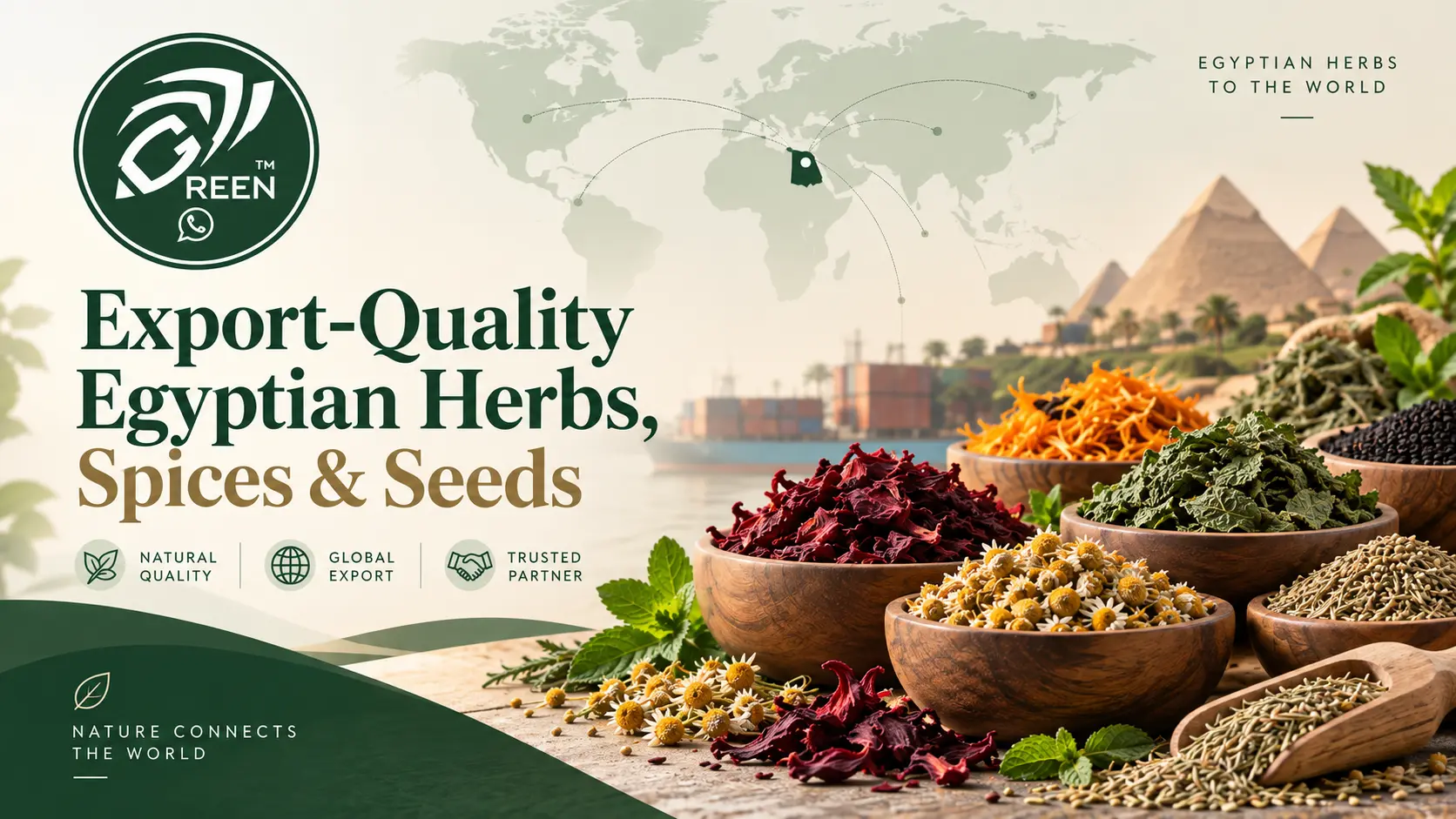 Export-Quality Egyptian Herbs, Spices Seeds