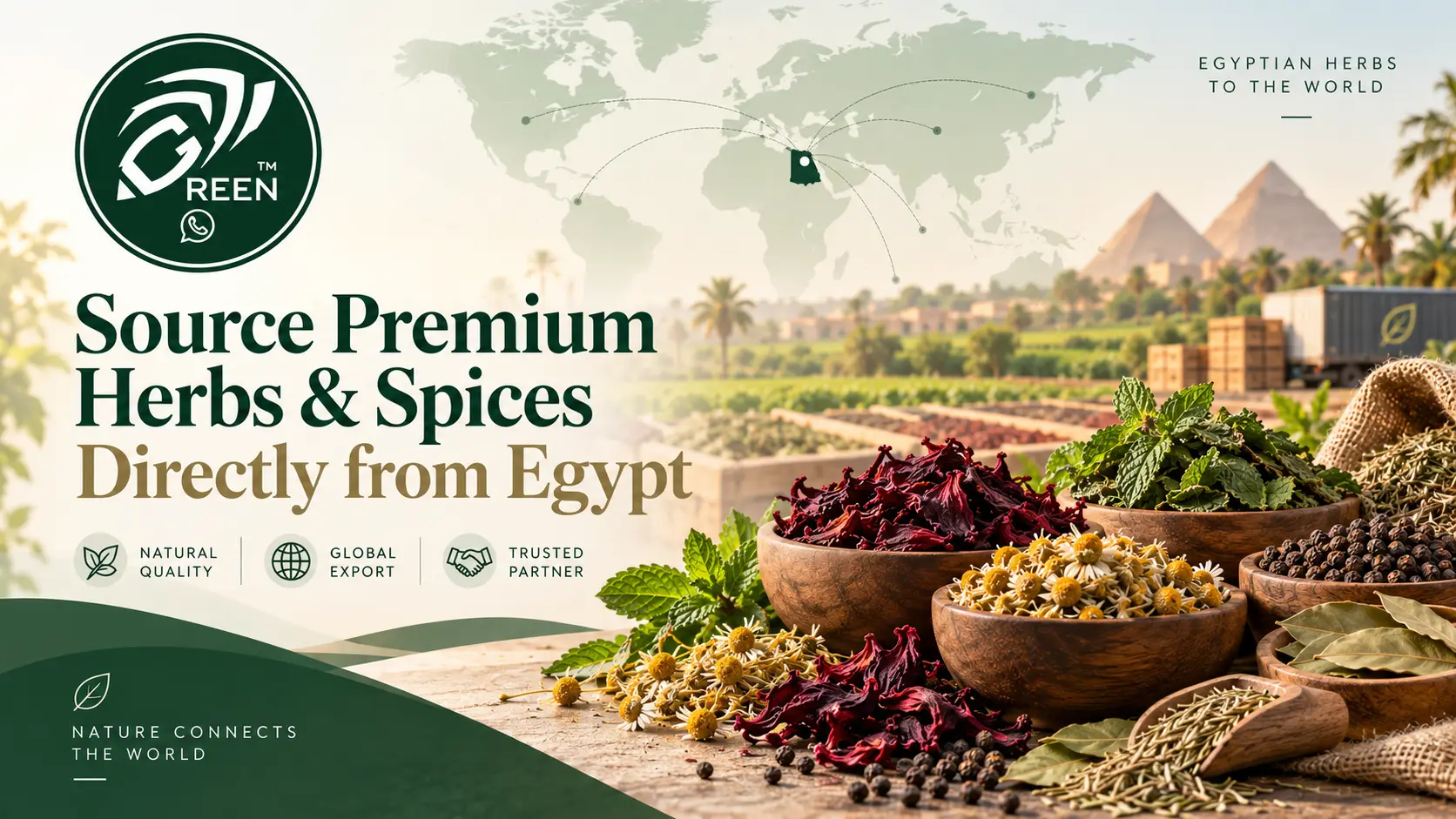 Source Premium Herbs Spices Directly from Egypt